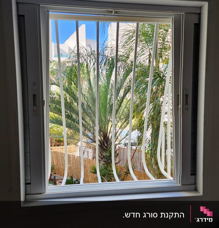 חלון עם סורגים לבנים ונוף של עצים בחוץ